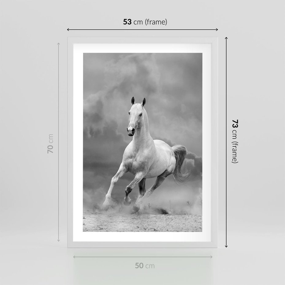 Plakat w ramie 50x70 - Elegancja w Czarno-Białym - koń, biało - rama biała