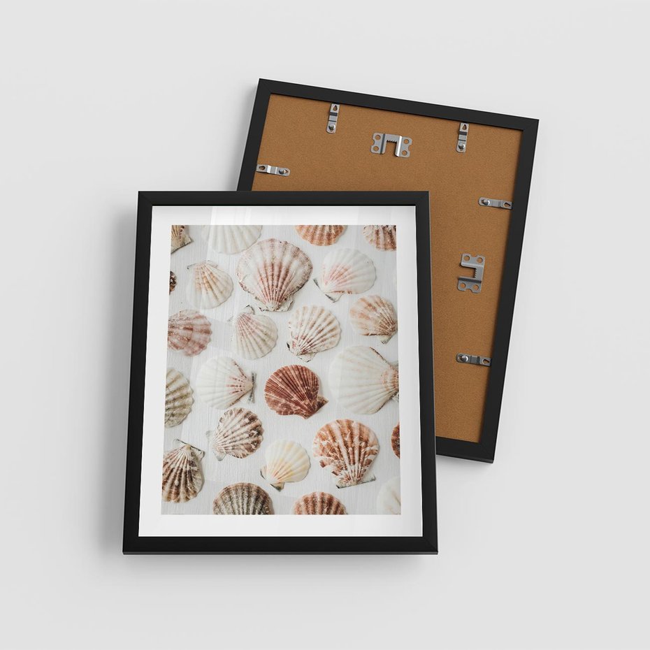 Plakat w ramie 40x50 - Morska Delikatność: Muszelki na Białym Tle - kompozycja, morskie muszelki na białym tle - rama czarna