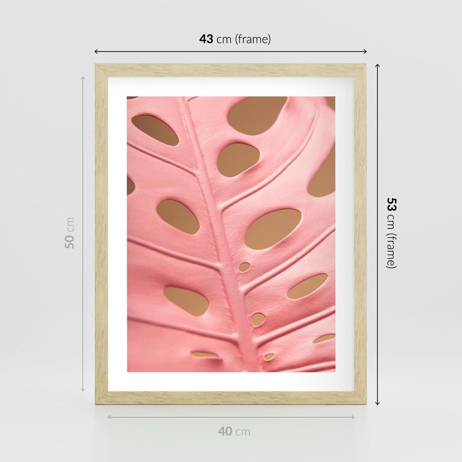 Plakat w ramie 40x50 - Różowy Liść Monstery - różowy liść monstery, nowoczesna fotografia - rama drewno
