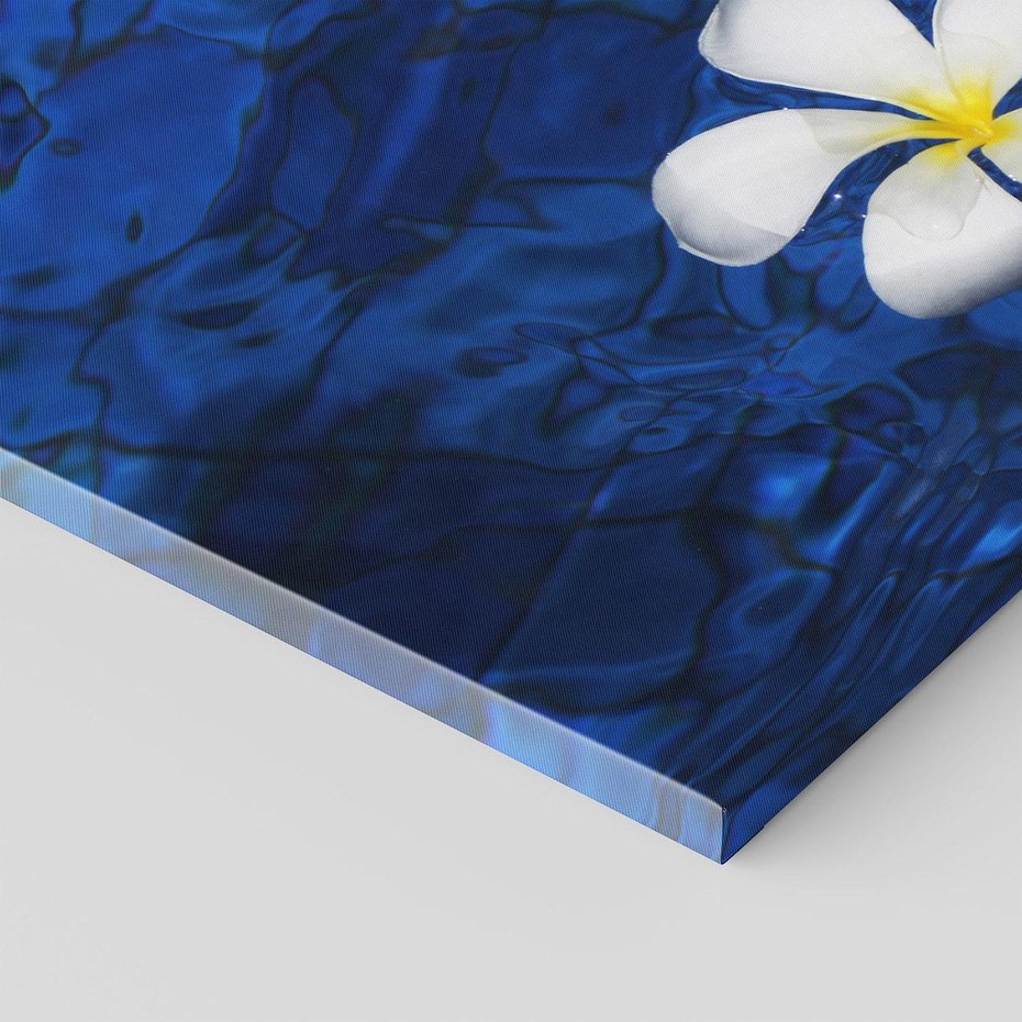 Obraz na płótnie 70x50 - Kwiaty wodne delikatność natury - kwiat, woda