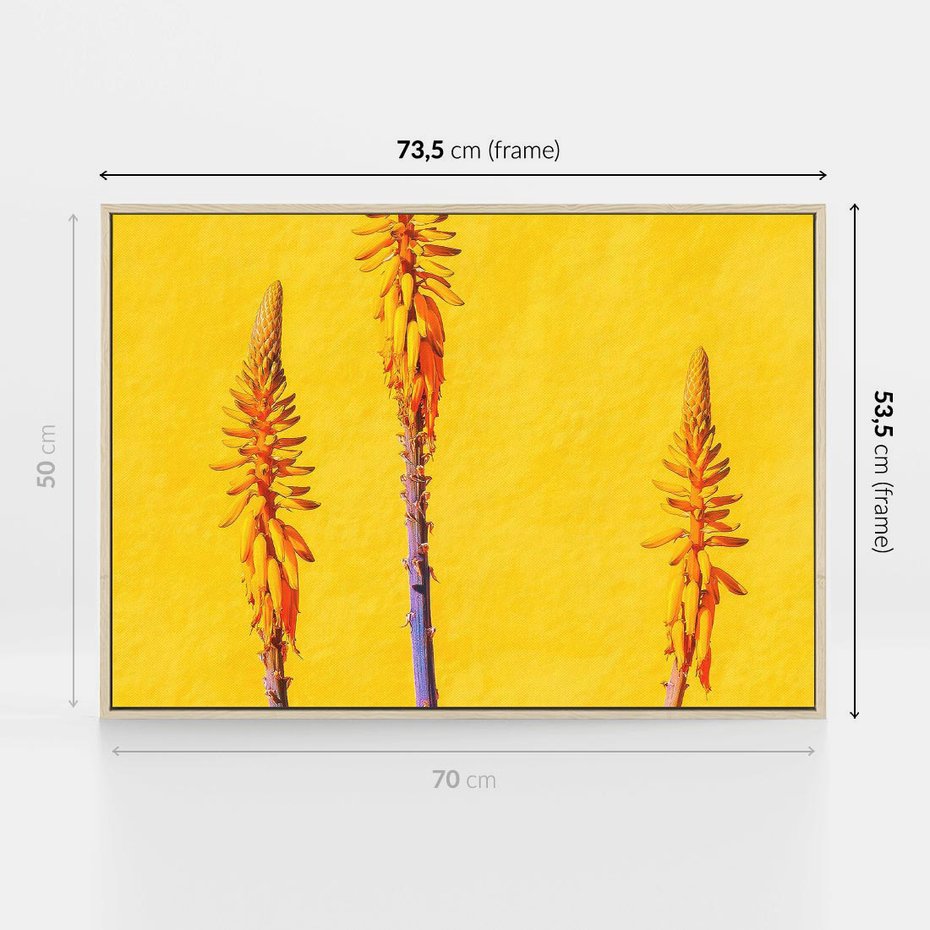 Obraz w ramie 70x50 - Radość Natury - kolor, kwiaty - rama drewno