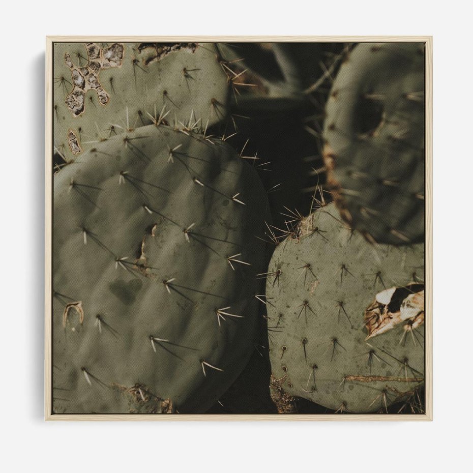 Obraz w ramie 80x80 - Urok Egzotyki - kaktusy, boho - rama drewno