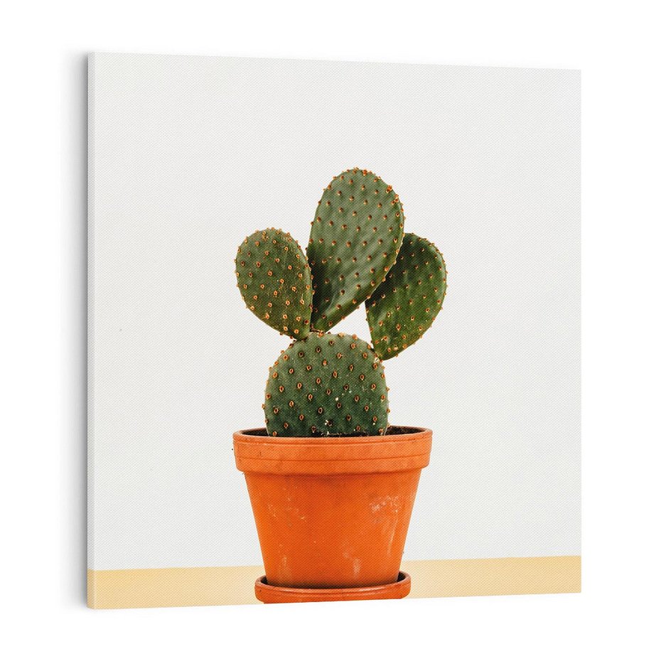 Obraz na płótnie 70x70 - Kwiatowy taniec kaktusa - kaktus, kwiat