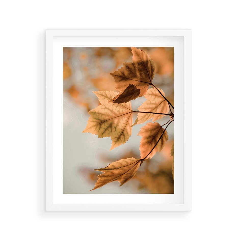 Plakat w ramie 40x50 - Magia Jesieni - liście, jesień - rama biała
