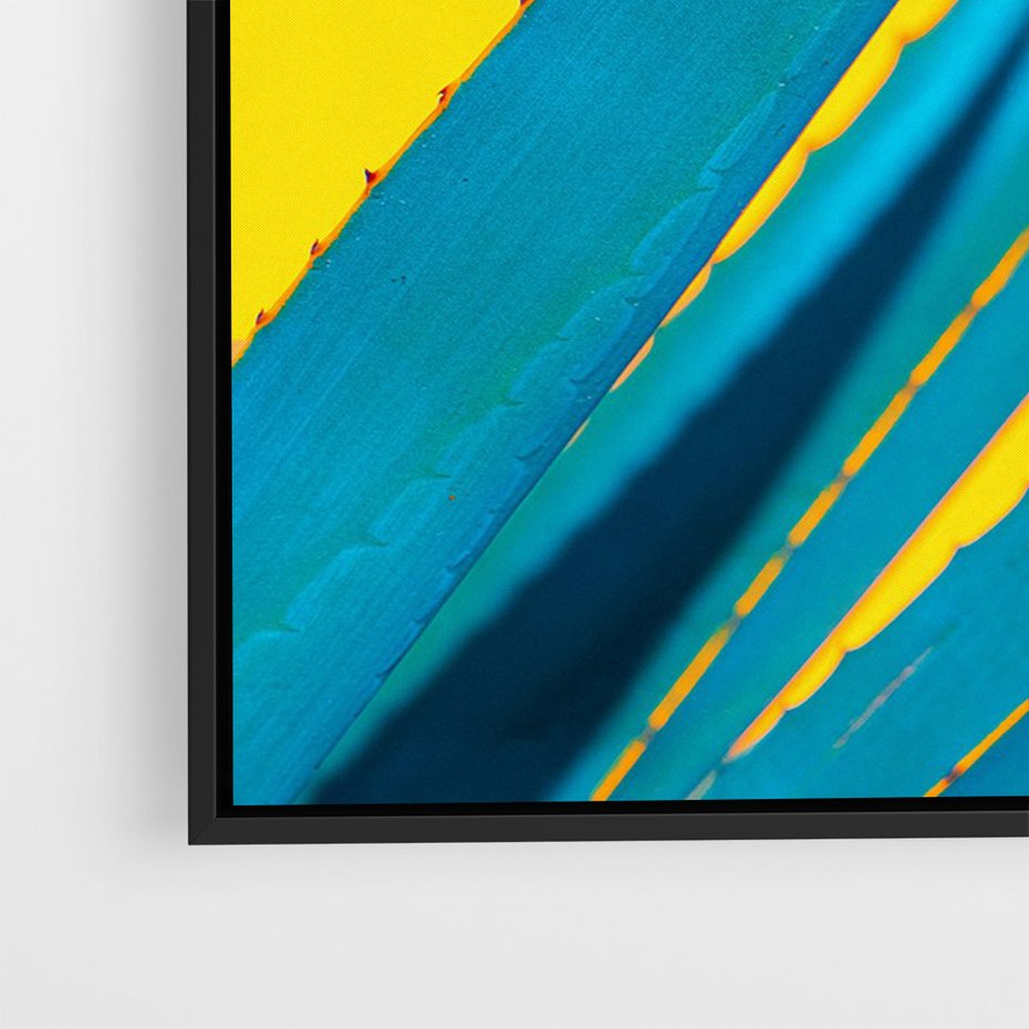 Obraz w ramie 50x70 - Świeżość Natury - aloes, liście - rama czarna