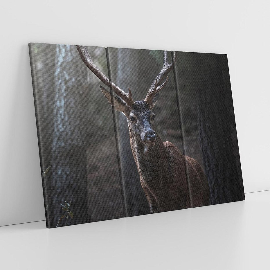 Obraz na płótnie 120x80 - Jeleń wśród lasu - jeleń, las