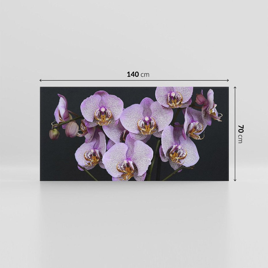 Obraz na płótnie 140x70 - Kwiatowy zachwyt pełen kolorów - kwiat, kwiaty