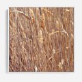 Obraz w ramie 80x80 - Mistrzowskie suche trawy - suche, trawy - rama biała