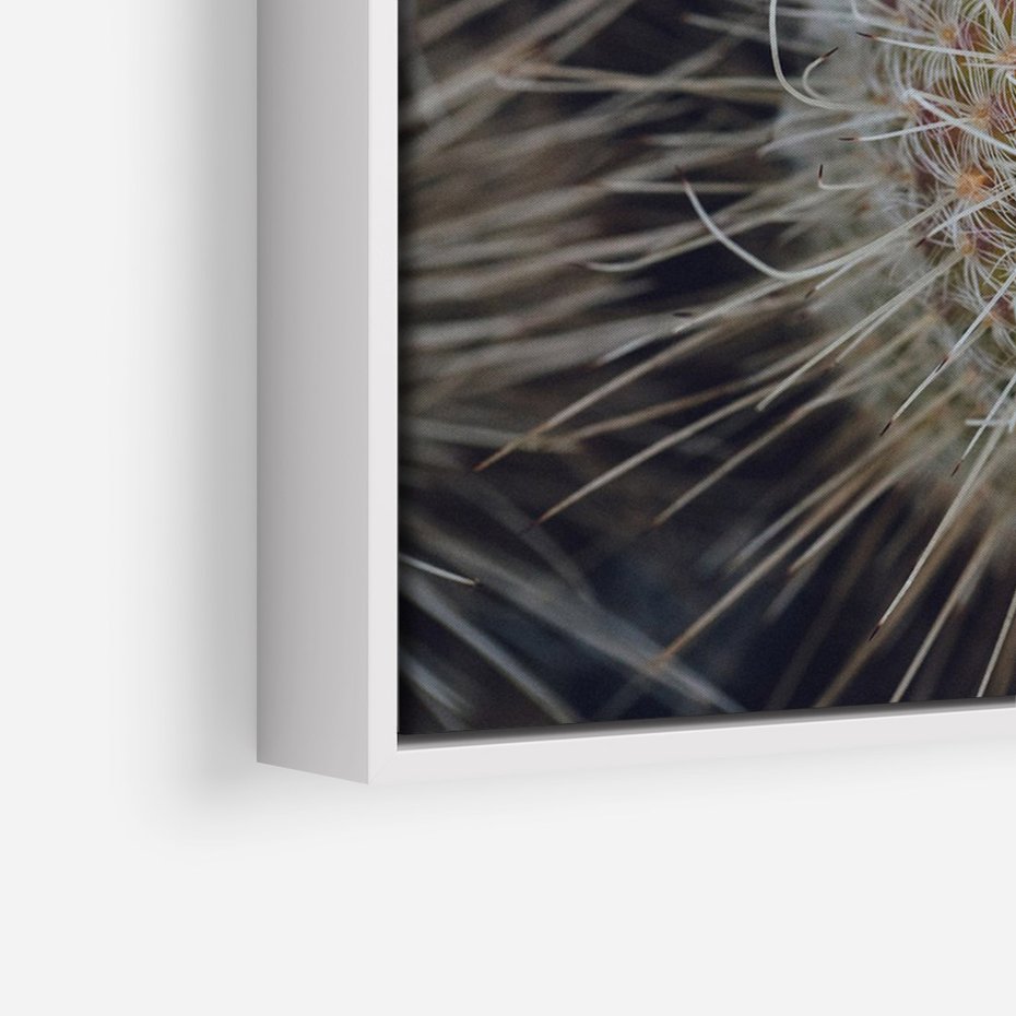 Obraz w ramie 80x120 - Ulotna Piękność Natury - makro, dmuchawce - rama biała