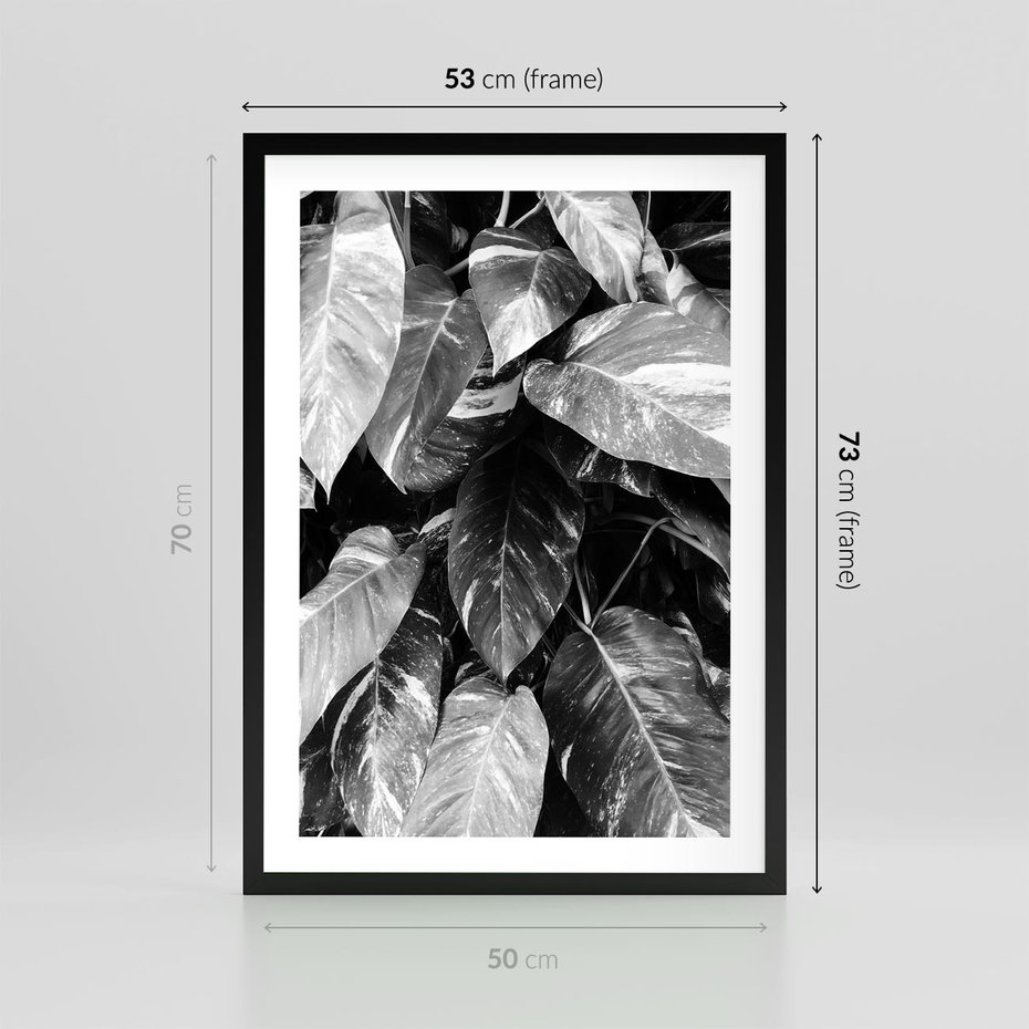 Plakat w ramie 50x70 - Liście w Czarno-Białej Fotografii - liście, roślina - rama czarna