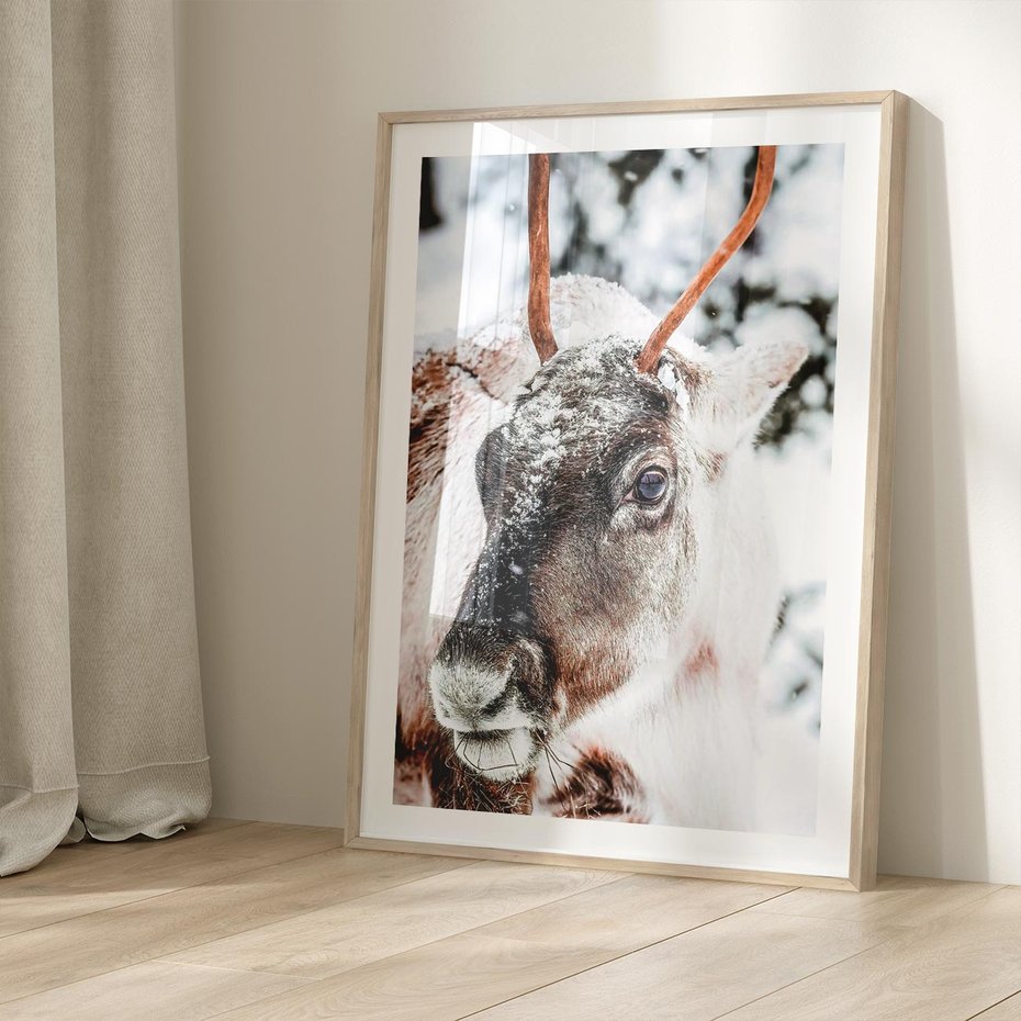 Plakat w ramie 30x40 - Renifer w Zimowej Krainie - renifer, zima - rama drewno