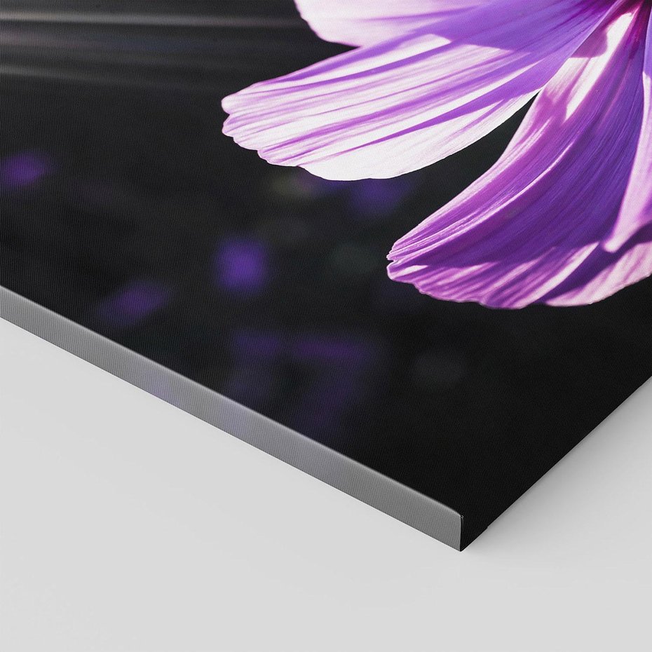 Obraz na płótnie 70x50 - Kwiatowy taniec natury - kwiat, kwiaty