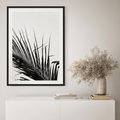 Plakat bez ramy 21x30 - Sztuka Natury: Monochromatyczna Palma - palma, czarno białe zdjęcie