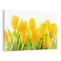 Obraz na płótnie 70x50 - Tulipany - szczyt kwiatowego piękna - tulipany, kwiaty