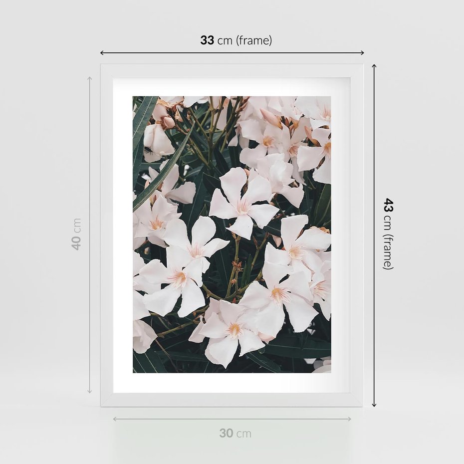Plakat w ramie 30x40 - Egzotyczna Uroda - białe kwiaty, tropikalne kwiaty - rama biała