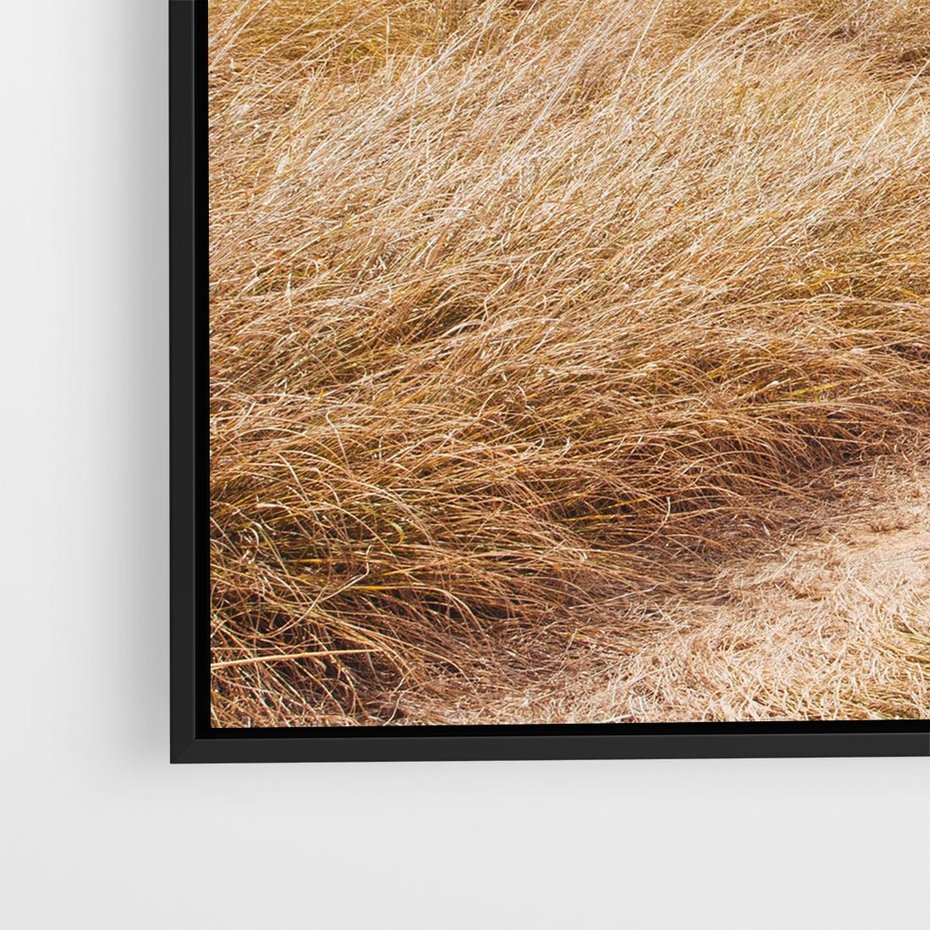 Obraz w ramie 50x50 - Tajemnicza Ścieżka - latarnia morska w oddali, suche trawy - rama czarna