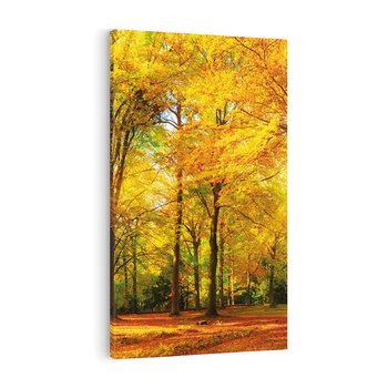Obraz na płótnie 80x120 - Urok jesiennego lasu - las, drzewa