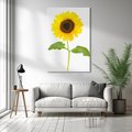 Obraz na płótnie 50x70 - Słoneczniki - Kwiaty Radości - słonecznik, kwiat