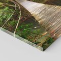Obraz na płótnie 30x30 - Przez Dżunglę - most, linowy