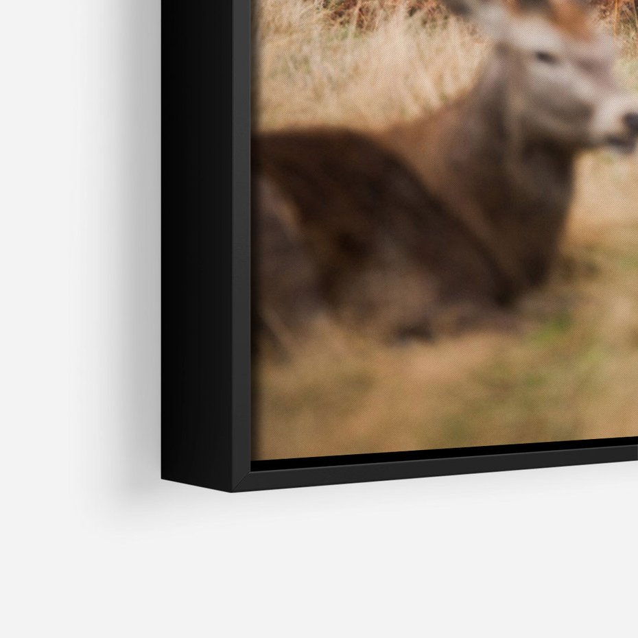 Obraz w ramie 50x70 - Malownicza Harmonia - jelenie, jesień - rama czarna