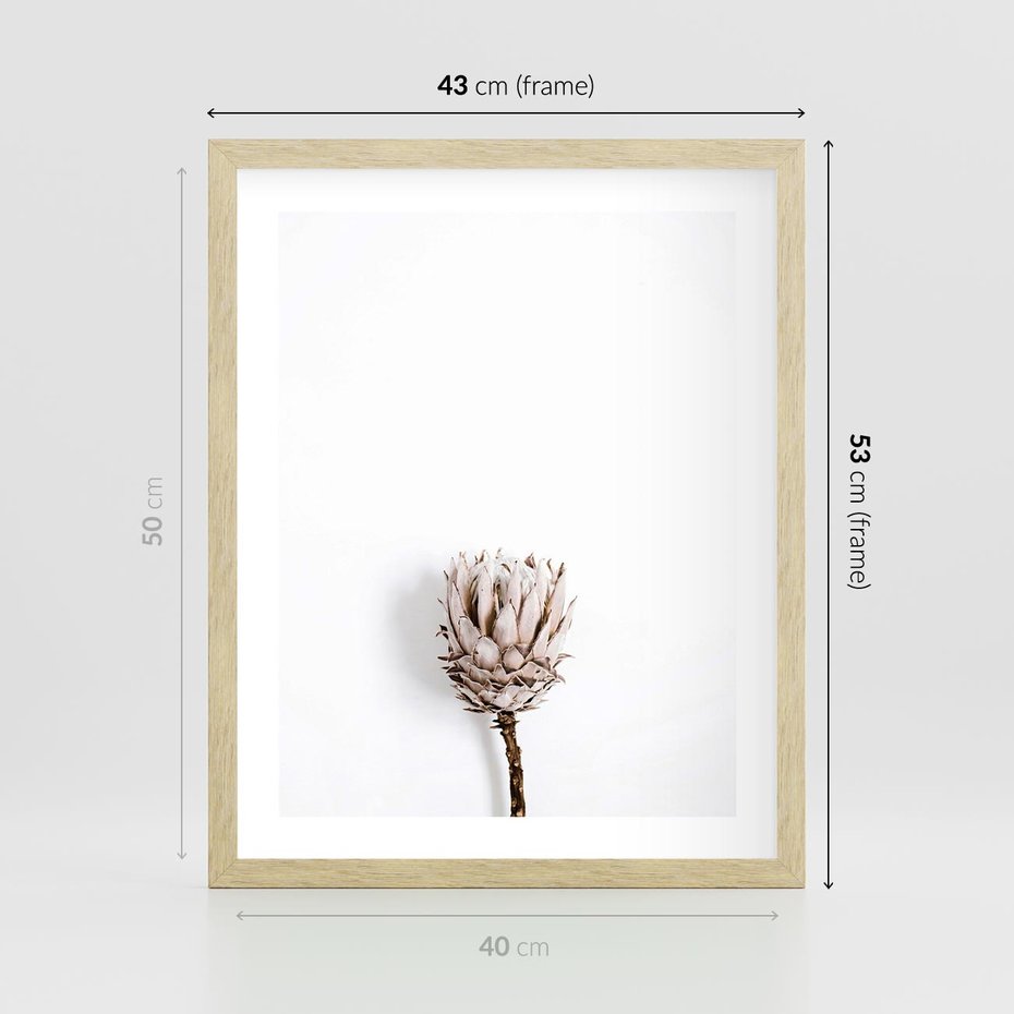 Plakat w ramie 40x50 - Suszona Roślina na Białym Tle - minimalizm, suszona roślina - rama drewno