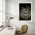 Plakat bez ramy 30x40 - Moc lewego spojrzenia - lew, czarno