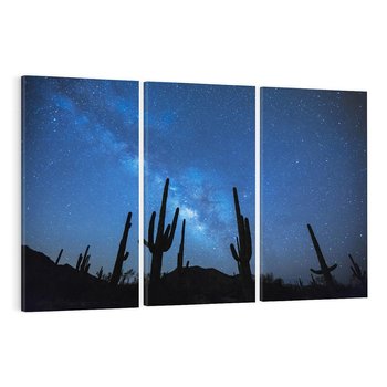 Obraz na płótnie 120x80 - Kaktusy - Niebo z gwiazdami - kaktusy, niebo