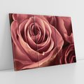 Obraz na płótnie 120x80 - Romantyczna Róż - róża, kwiat