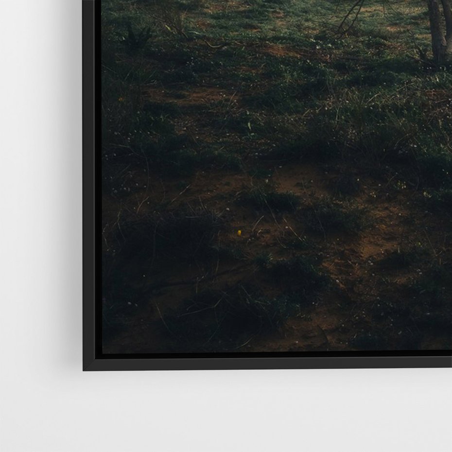 Obraz w ramie 70x100 - Zamglona Prostota - artystyczna fotografia, samotne drzewo na zamglonej łące - rama czarna