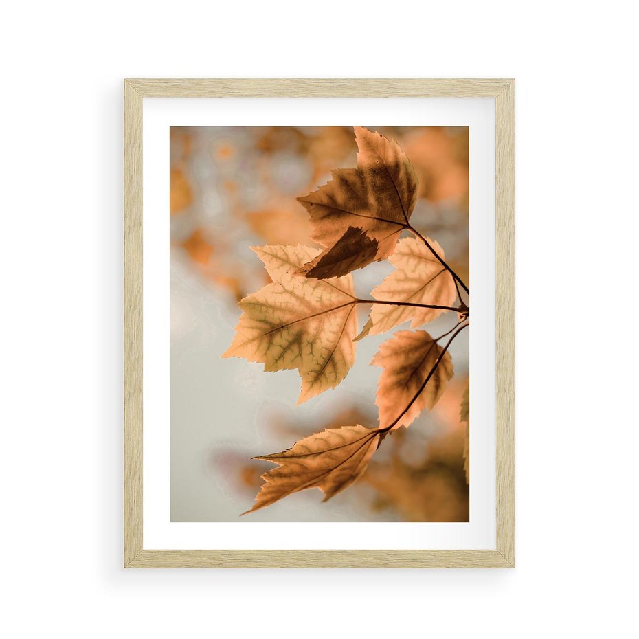 Plakat w ramie 40x50 - Magia Jesieni - liście, jesień - rama drewno