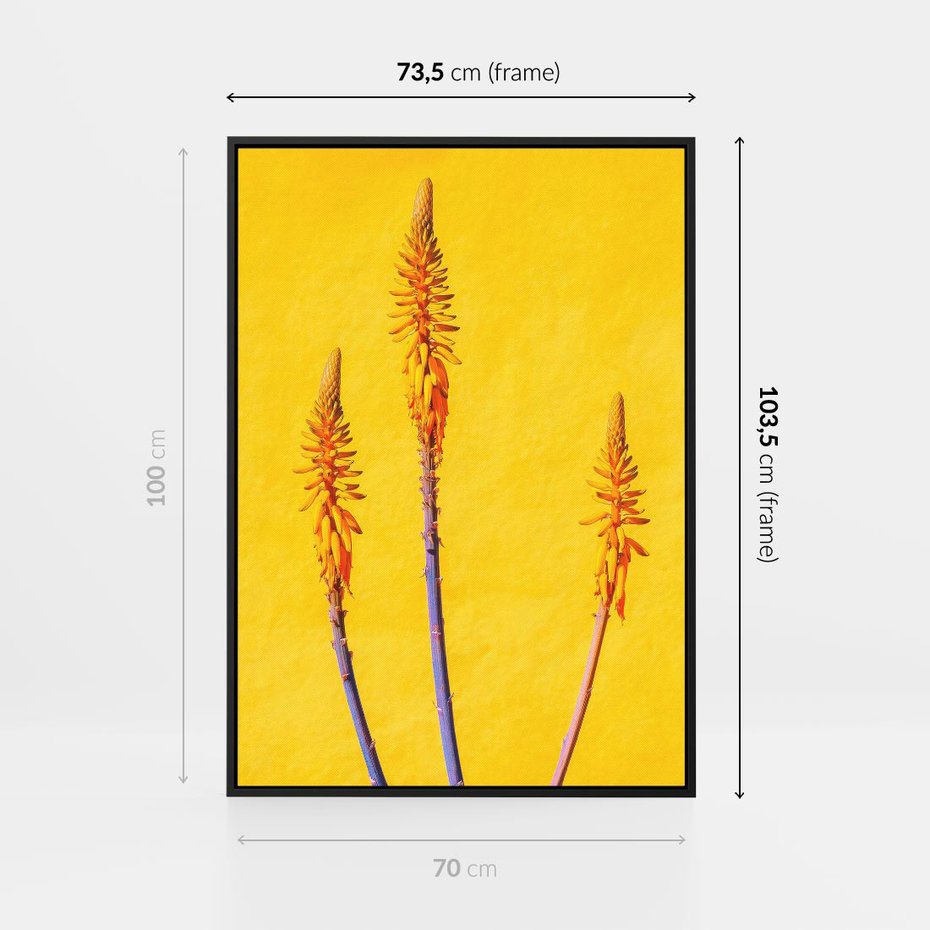 Obraz w ramie 70x100 - Radość Natury - kolor, kwiaty - rama czarna