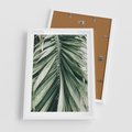 Plakat w ramie 50x70 - Spokojna Piękność Palmowych Liści - palma, liście palmy - rama biała