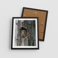Plakat w ramie 40x50 - Tajemniczy W świecie Nocy - sowa, dziupla - rama czarna