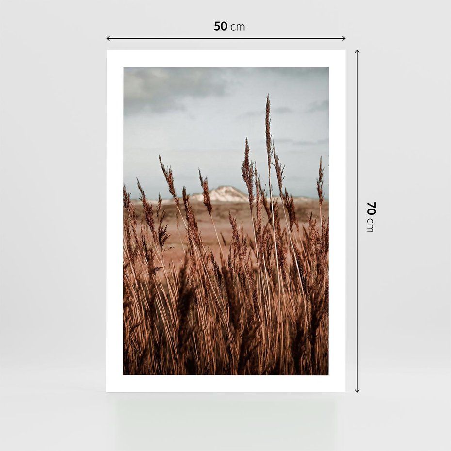 Plakat bez ramy 50x70 - Wysokie Trawy w Górskim Krajobrazie - suche trawy, wysokie trawy