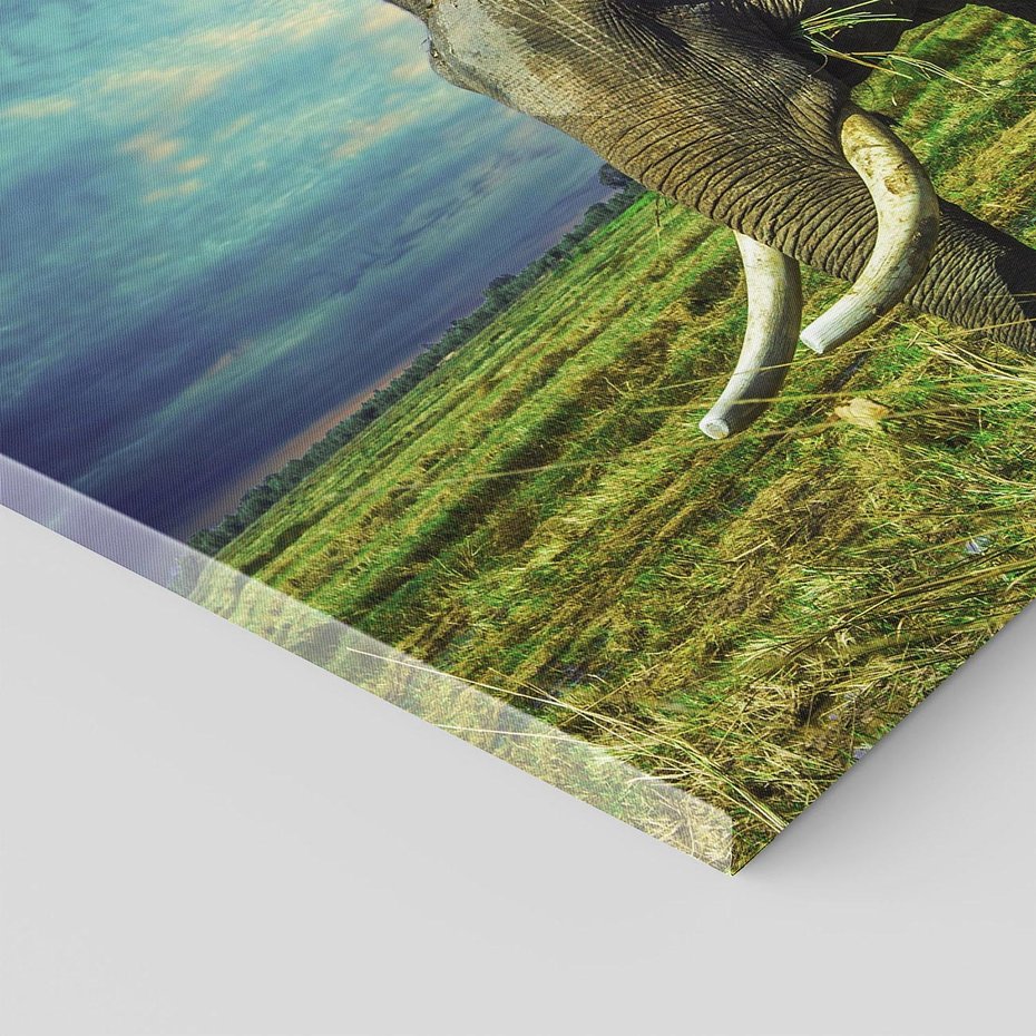 Obraz na płótnie 120x80 - Słoń w sawannie: Spotkanie z dziką przyrodą - słoń, sawanna