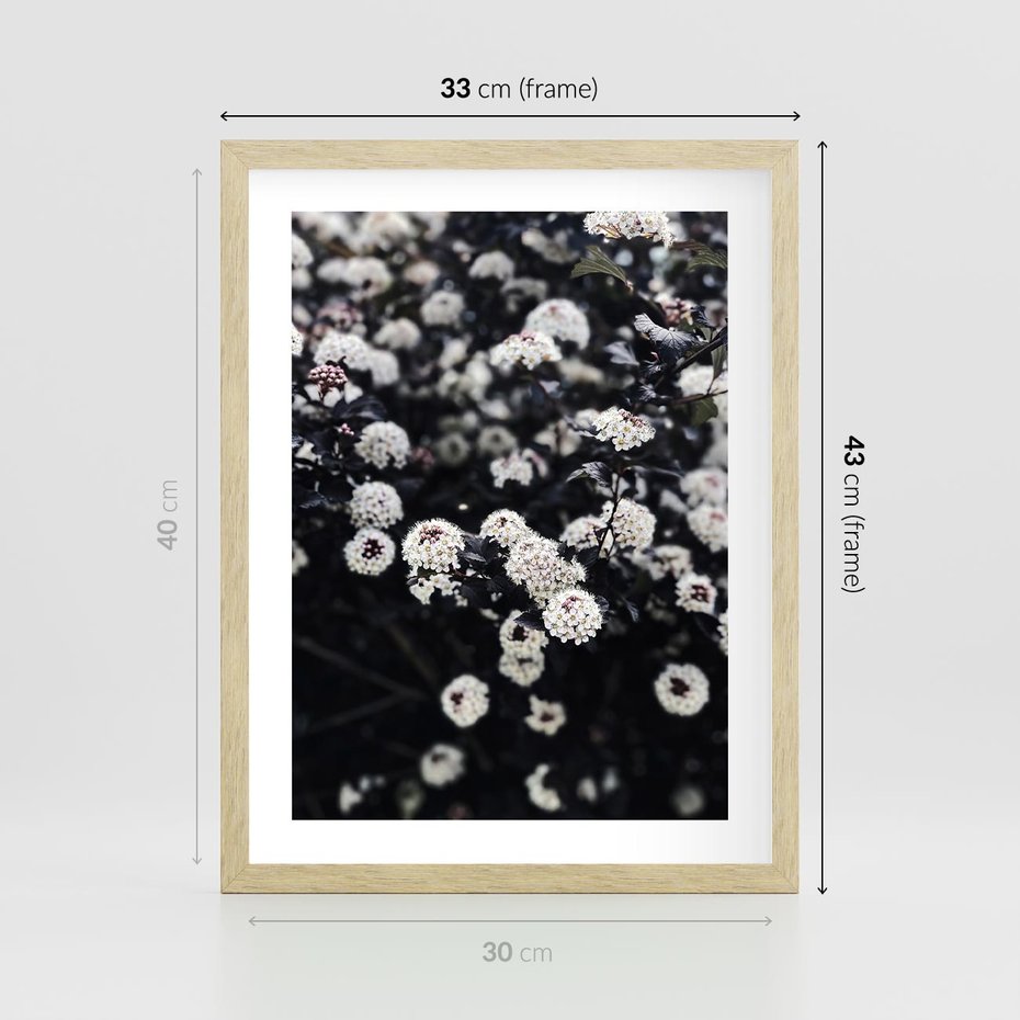 Plakat w ramie 30x40 - Białe Kwiaty na Kwitnącym Krzewie - białe kwiaty, kwitnący krzew - rama drewno