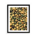 Plakat w ramie 40x50 - Świeżość Cytrusów - cytryny, limonki - rama czarna