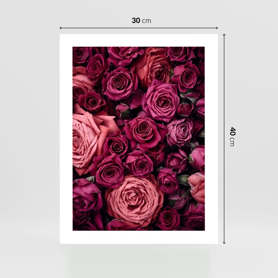 Plakat bez ramy 30x40 - Róże - piękno kwiatów - róże, kwiaty
