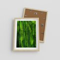 Plakat w ramie 30x40 - Bambusowy urok zielonej harmonii - bambus, zieleń - rama drewno