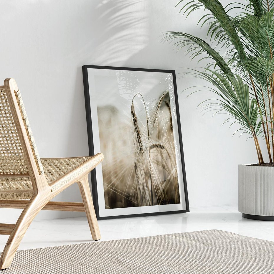 Plakat w ramie 40x50 - Kłosy Pszenicy w Sepii - zboże, kłos pszenicy - rama czarna