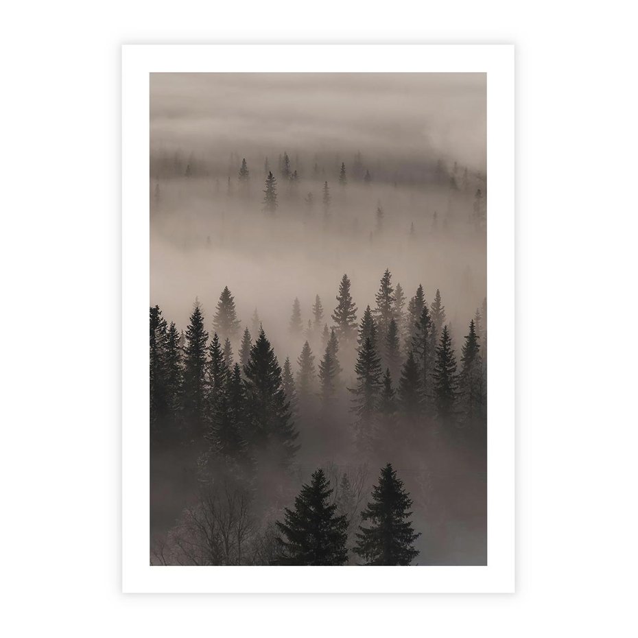 Plakat bez ramy 50x70 - Mglista Opowieść Lasu - las, mgła