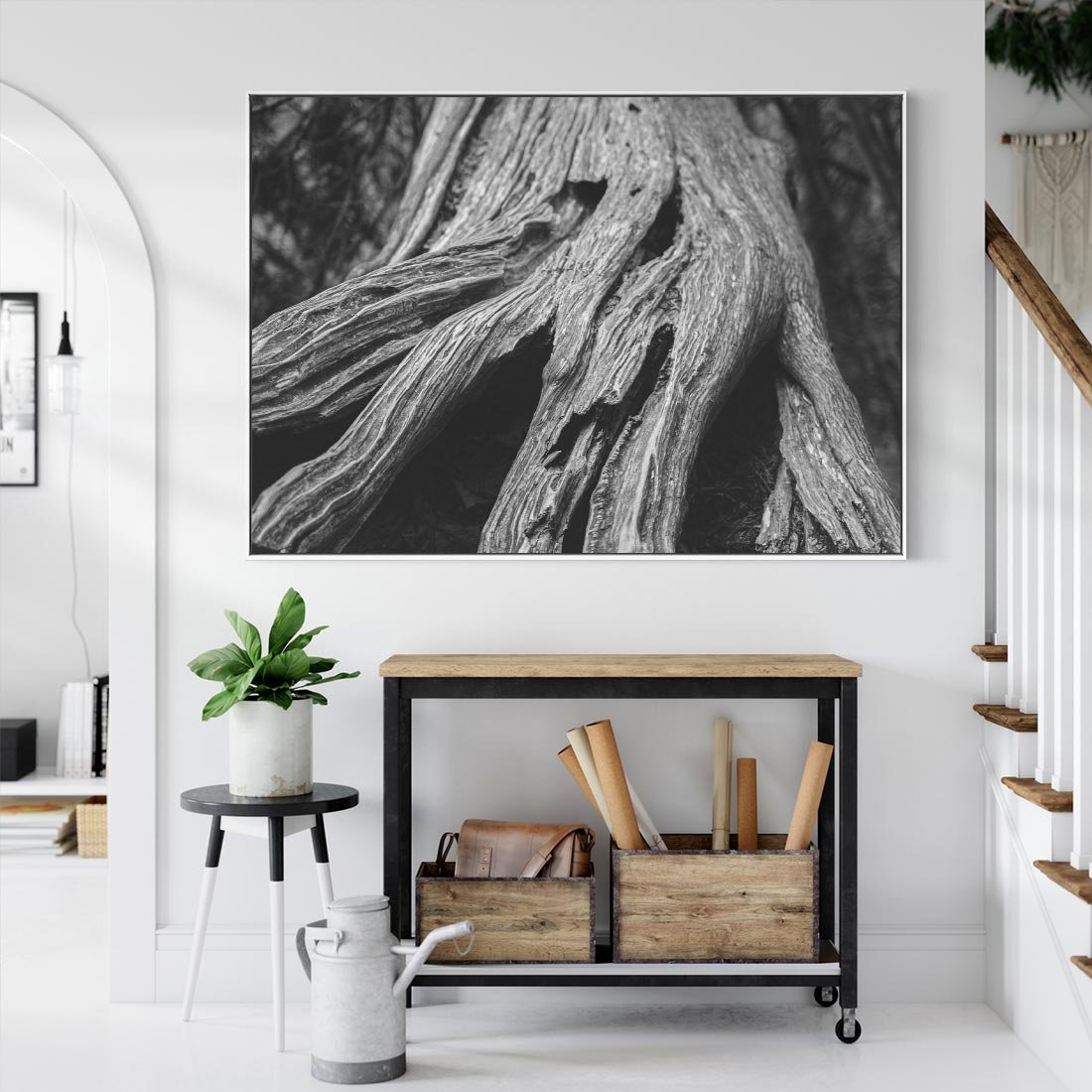 Obraz w ramie 70x50 - Siła Natury - czarno biała fotografia, korzenie wielkiego drzewa - rama biała