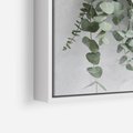 Obraz w ramie 50x50 - Uwodzicielska zieleń eukaliptusa - eukaliptus, zielone - rama biała