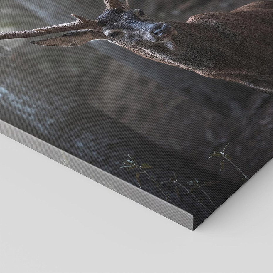 Obraz na płótnie 80x80 - Jeleń wśród lasu - jeleń, las