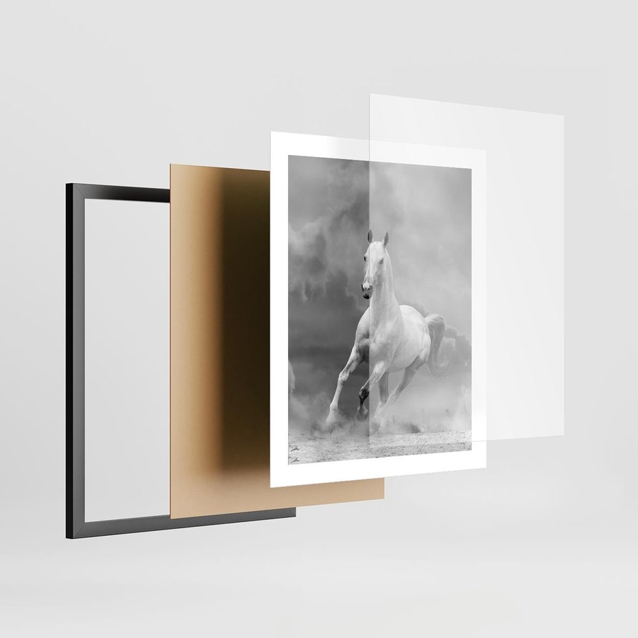 Plakat w ramie 40x50 - Elegancja w Czarno-Białym - koń, biało - rama czarna