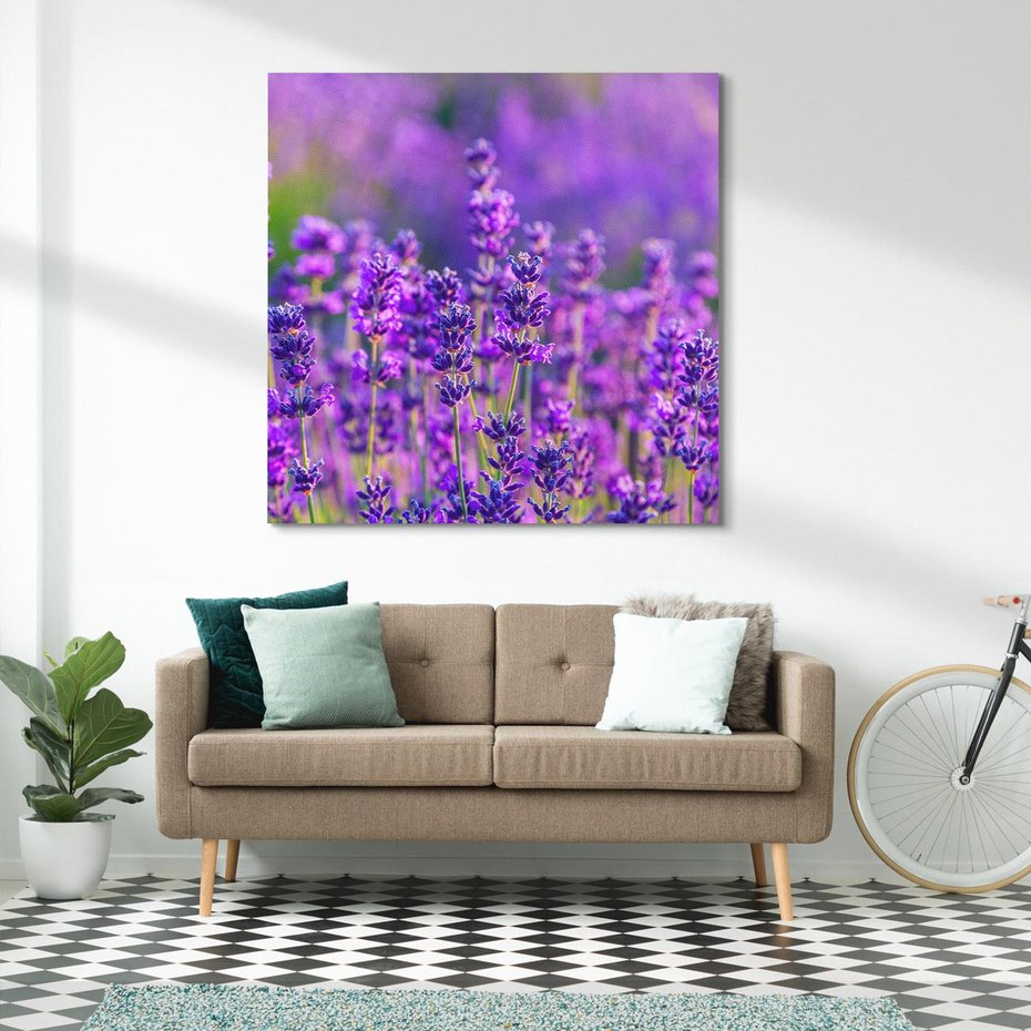 Obraz na płótnie 50x50 - Zaklęta lawenda - lawenda, kwiaty