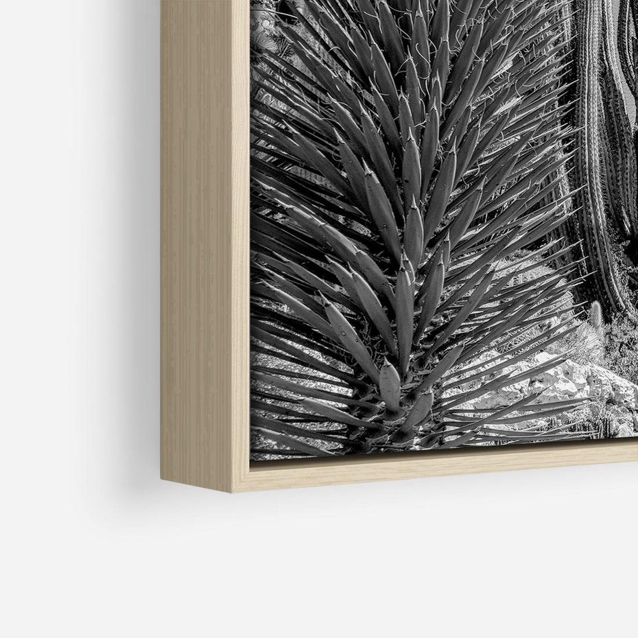 Obraz w ramie 50x50 - Pustynny Klimat - czarno białe zdjecie, pustynia - rama drewno