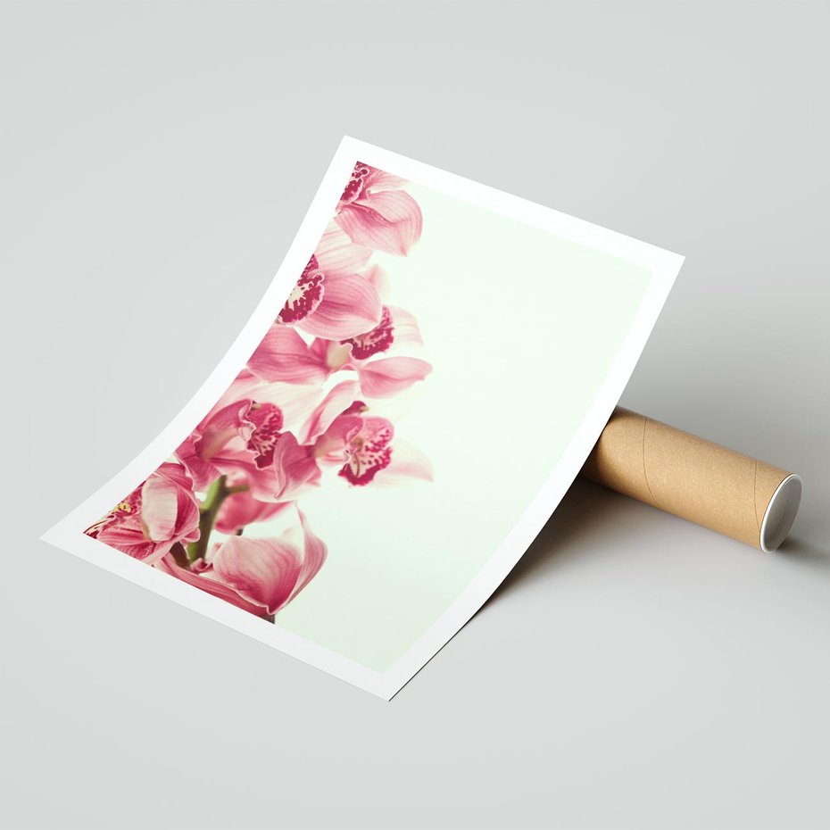 Plakat bez ramy 50x70 - Orchidea - delikatne kwiaty - orchidea, kwiaty