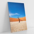 Obraz na płótnie 80x120 - Słońce i Suche Drzewo - pustynia, suche