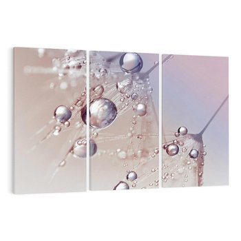 Obraz na płótnie 120x80 - Delikatne Natchnienie - krople, dmuchawce